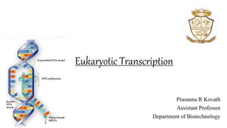 Eukaryotic Transcription
Prasanna R Kovath
Assistant Professor
Department of Biotechnology
 