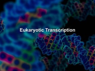 1
Eukaryotic Transcription
 