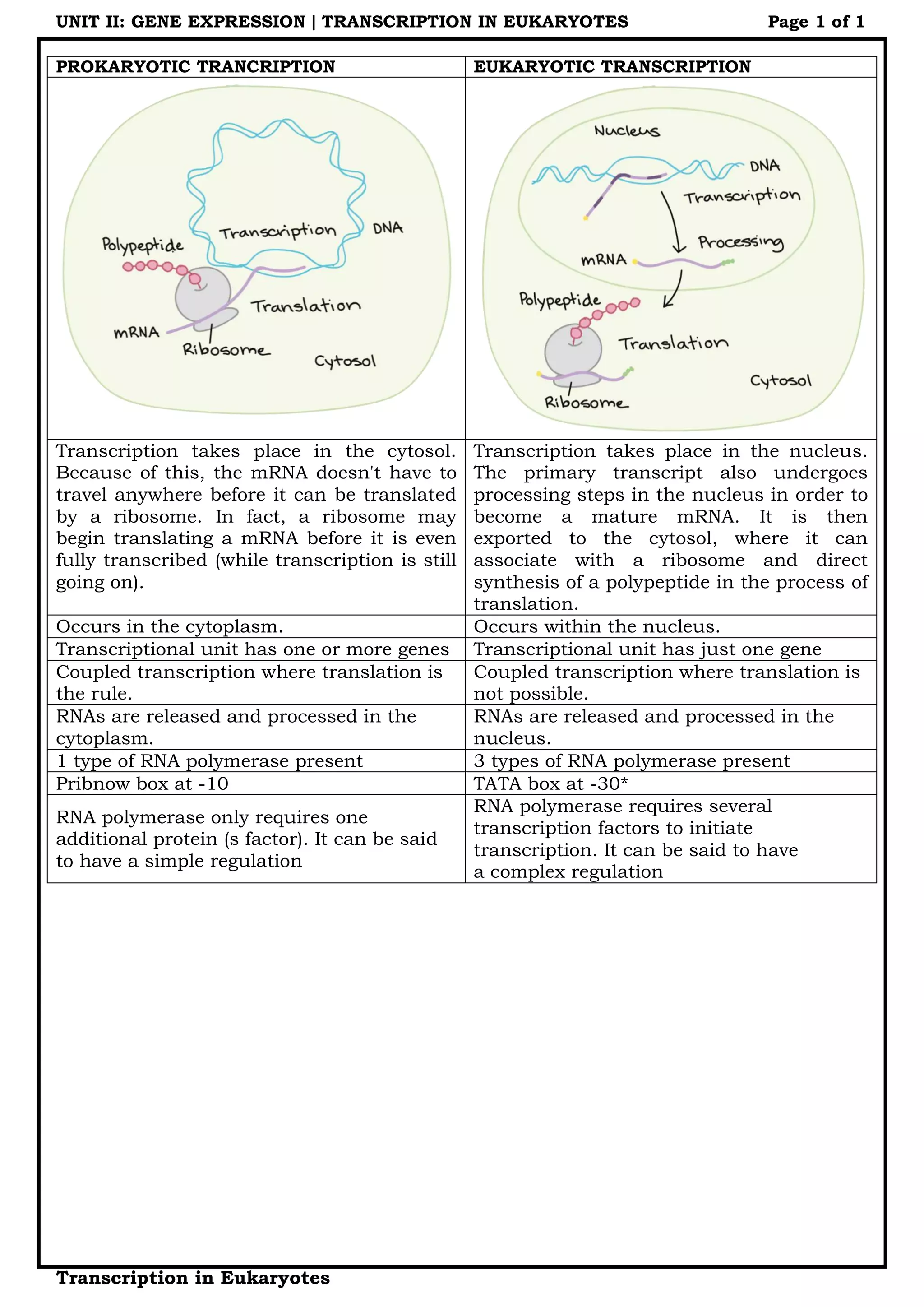 Eukaryotic transcription | PDF