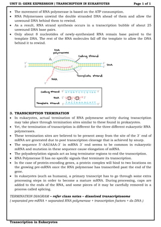 Eukaryotic transcription | PDF