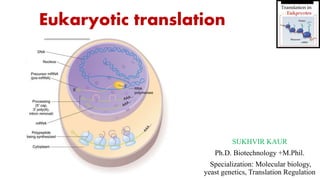 Eukaryotic translation
SUKHVIR KAUR
Ph.D. Biotechnology +M.Phil.
Specialization: Molecular biology,
yeast genetics, Translation Regulation
 