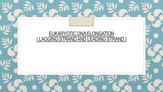 EUKARYOTIC DNAELONGATION
( LAGGINGSTRANDAND LEADING STRAND )
 