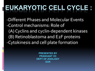 EUKARYOTIC CELL CYCLE :
-Different Phases and Molecular Events
-Control mechanisms: Role of
(A) Cyclins and cyclin-dependent kinases
(B) Retinoblastoma and E2F proteins
-Cytokinesis and cell plate formation
PRESENTED BY
PRASHANT VC
DEPT OF ZOOLOGY
GUK
 
