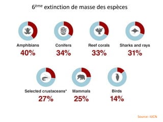6ème extinction de masse des espèces
Source: IUCN
 