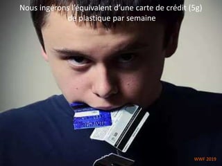 Nous ingérons l’équivalent d’une carte de crédit (5g)
de plastique par semaine
WWF 2019
 