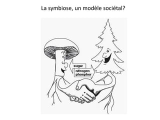 La symbiose, un modèle sociétal?
 