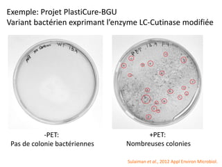 Exemple: Projet PlastiCure-BGU
Variant bactérien exprimant l’enzyme LC-Cutinase modifiée
-PET:
Pas de colonie bactériennes
+PET:
Nombreuses colonies
Sulaiman et al., 2012 Appl Environ Microbiol.
 