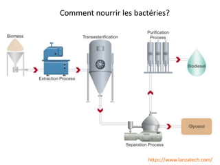 Comment nourrir les bactéries?
https://www.lanzatech.com/
 