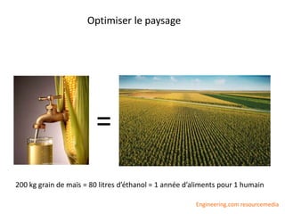 Optimiser le paysage
=
200 kg grain de maïs = 80 litres d’éthanol = 1 année d’aliments pour 1 humain
Engineering.com resourcemedia
 