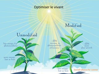 Optimiser le vivant
Cornell alliance for science
 