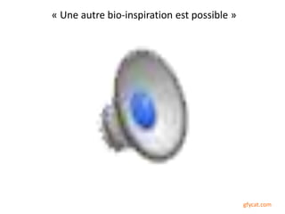 « Une autre bio-inspiration est possible »
gfycat.com
 