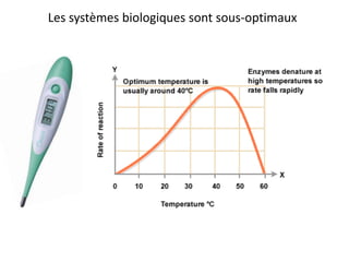 Les systèmes biologiques sont sous-optimaux
 