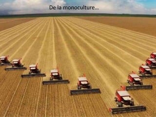 De la monoculture…
 