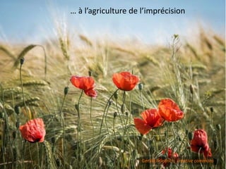 … à l’agriculture de l’imprécision
Gerald Friedrich, creative commons
 