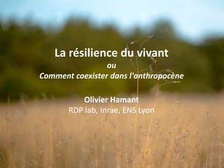 La résilience du vivant
ou
Comment coexister dans l'anthropocène
Olivier Hamant
RDP lab, Inrae, ENS Lyon
 