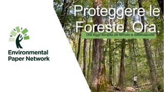 Proteggere le
Foreste. Ora.
Una legge europea per fermare la deforestazione
 
