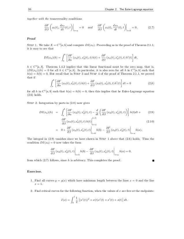 Euler lagrange equation