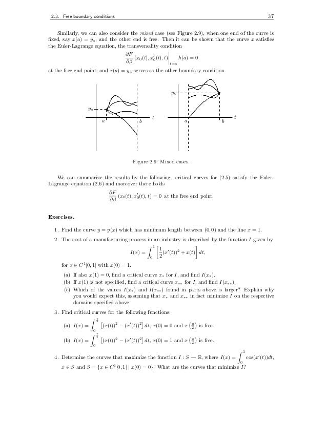 Euler lagrange equation