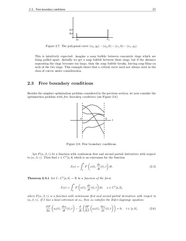 Euler lagrange equation