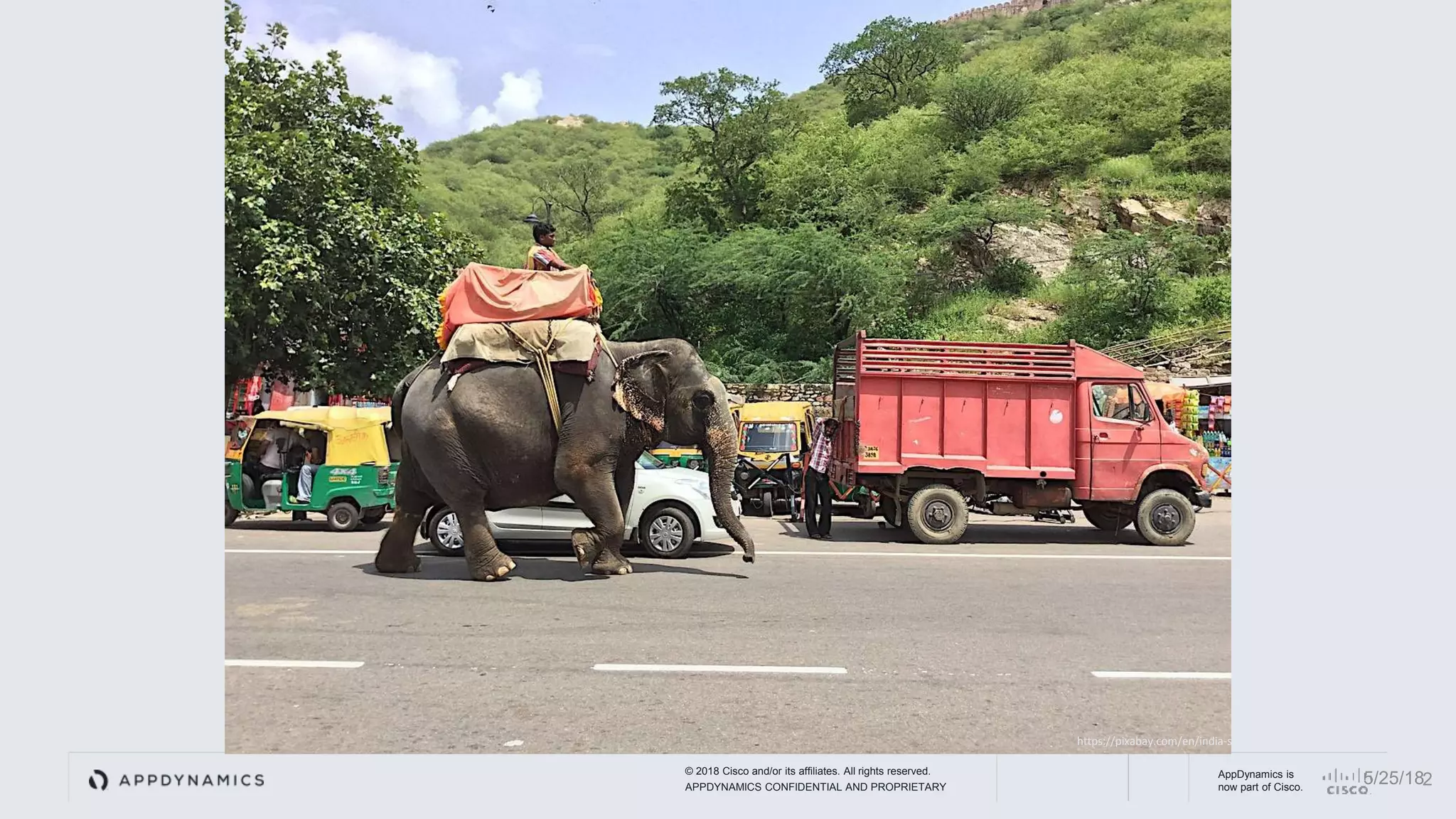 © 2018 Cisco and/or its affiliates. All rights reserved.
APPDYNAMICS CONFIDENTIAL AND PROPRIETARY
AppDynamics is
now part of Cisco. 25/25/18
https://pixabay.com/en/india-snake-music-snake-charmer-1034843/ ,
 