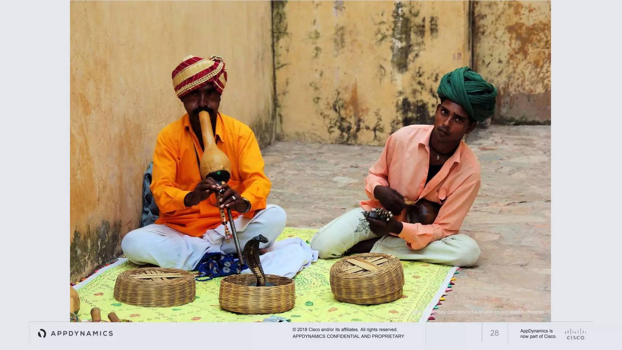 © 2018 Cisco and/or its affiliates. All rights reserved.
APPDYNAMICS CONFIDENTIAL AND PROPRIETARY
AppDynamics is
now part of Cisco.28
https://pixabay.com/en/india-snake-music-snake-charmer-1034843/
 