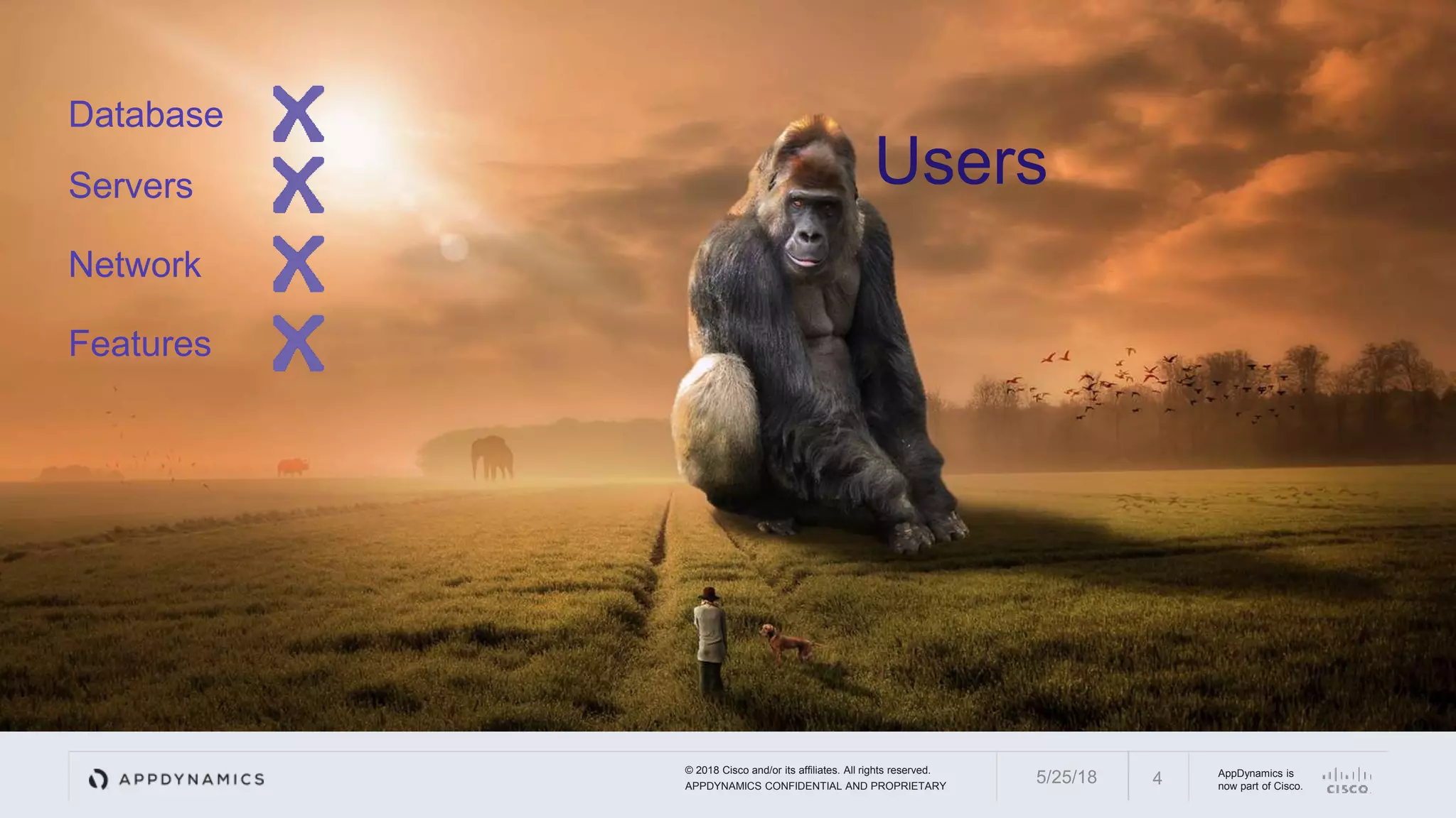 © 2018 Cisco and/or its affiliates. All rights reserved.
APPDYNAMICS CONFIDENTIAL AND PROPRIETARY
AppDynamics is
now part of Cisco.45/25/18
Database
Servers
Network
Features
Users
 