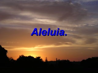 Aleluia. 