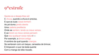 9ªestrofe
Saúdo-os e desejo-lhes sol
E chuva, quando a chuva é precisa,
E que as suas casas tenham
Ao pé duma janela aberta
Uma cadeira predilecta
Onde se sentem, lendo os meus versos.
E ao lerem os meus versos pensem
Que sou qualquer coisa natural —
Por exemplo, a árvore antiga
À sombra da qual quando crianças
Se sentavam com um baque, cansados de brincar,
E limpavam o suor da testa quente
Com a manga do bibe riscado.
 