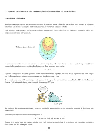 83
12. Equações características com raízes negativas – Sua vida cada vez mais negativa
12.1 Número Complexos
Os números complexos não têm por objetivo querer atrapalhar a sua vida e sim na verdade para ajudar, os números
complexos tem muitas aplicações na tecnologia que não existiriam sem esse estudo.
Tudo consiste na habilidade de dominar unidades imaginárias, essas unidades são admitidas quando o limite dos
conjuntos dos reais é ultrapassado.
Isso acontece quando temos uma raiz de um número negativo, pelo conjunto dos números reais é impossível haver
uma solução para isso, mas a explicação não está em olhar somente para a raiz.
22
= 2.2 = 4
Veja que é impossível imaginar que essa conta desse um número negativo, por esse fato, a exponencial é uma função
que é não negativa e o mesmo acontece para a sua função inversa, a raiz.
Com isso temos uma saída que foi pensada por muito tempo pelos matemáticos como, Raphael Bombelli, Leonard
Euler e Carl Friederich Gauss, esse é método de chamar √−1 de 𝑖.
No conjunto dos números complexos, todas as operações envolvendo o 𝑖 são operações comuns do jeito que nós
conhecemos.
A definição do conjunto dos números complexos é:
ℂ = {𝑧 |𝑧 = 𝑎 + 𝑏𝑖, 𝑐𝑜𝑚 𝑎, 𝑏 ∈ ℝ 𝑒 𝑖2
= −1}
Usando os 8 testes para um espaço vetorial (que você aprendeu em álgebra II) o conjunto dos complexos obedece a
todos com o uso das operações usuais.
𝑇𝑜𝑑𝑜 𝑐𝑜𝑛𝑗𝑢𝑛𝑡𝑜 𝑑𝑜𝑠 𝑟𝑒𝑎𝑖𝑠
 