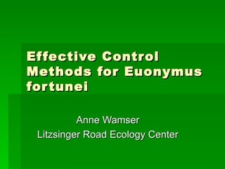 Ef fective Control
Methods for Euonymus
for tunei

          Anne Wamser
 Litzsinger Road Ecology Center
 