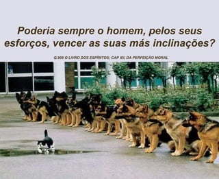 Poderia sempre o homem, pelos seus
esforços, vencer as suas más inclinações?
Q.909 O LIVRO DOS ESPÍRITOS; CAP XII, DA PERFEIÇÃO MORAL
 