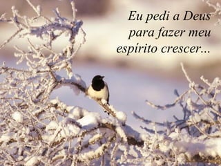 Eu pedi a Deus  para fazer meu  espírito crescer...  