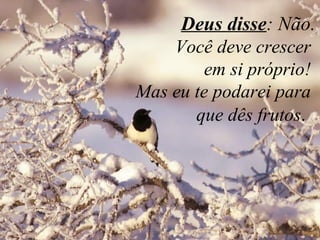    Deus disse : Não. Você deve crescer  em si próprio!  Mas eu te podarei para  que dês frutos .   