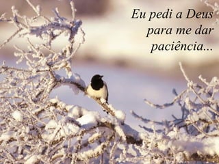 Eu pedi a Deus  para me dar  paciência...  