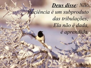    Deus disse : Não.  Paciência é um subproduto  das tribulações;    Ela não é dada,  é aprendida.  