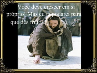 Você deve crescer em si
próprio! Mas eu te podarei para
  que dês frutos.
 