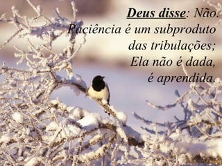   Deus disse: Não.
 Paciência é um subproduto 
das tribulações; 
     Ela não é dada, 
é aprendida. 
 