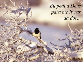 Eu pedi a Deus 
para me livrar 
da dor... 
 