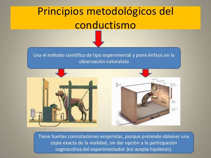 Cual Es El Enfoque Del Conductismo es.slideshare.net