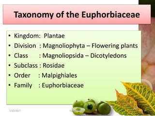Taxonomy of the Euphorbiaceae
• Kingdom: Plantae
• Division : Magnoliophyta – Flowering plants
• Class : Magnoliopsida – Dicotyledons
• Subclass : Rosidae
• Order : Malpighiales
• Family : Euphorbiaceae
2/10/2017 Euphorbiaceae 4
 
