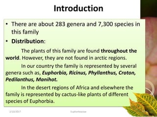 Introduction
• There are about 283 genera and 7,300 species in
this family
• Distribution:
The plants of this family are found throughout the
world. However, they are not found in arctic regions.
In our country the family is represented by several
genera such as, Euphorbia, Ricinus, Phyllanthus, Croton,
Pedilanthus, Manihot.
In the desert regions of Africa and elsewhere the
family is represented by cactus-like plants of different
species of Euphorbia.
2/10/2017 Euphorbiaceae 5
 