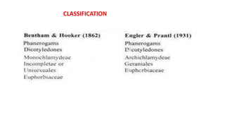 CLASSIFICATION
 