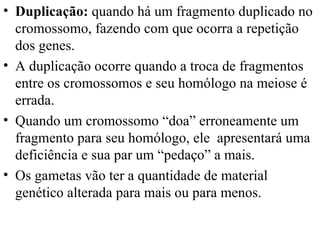 Duplicação:  quando há um fragmento duplicado no cromossomo, fazendo com que ocorra a repetição dos genes.  A duplicação ocorre quando a troca de fragmentos entre os cromossomos e seu homólogo na meiose é errada.  Quando um cromossomo “doa” erroneamente um fragmento para seu homólogo, ele  apresentará uma deficiência e sua par um “pedaço” a mais. Os gametas vão ter a quantidade de material genético alterada para mais ou para menos.  