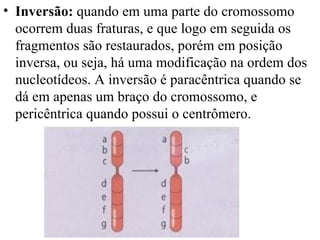 Inversão:  quando em uma parte do cromossomo ocorrem duas fraturas, e que logo em seguida os fragmentos são restaurados, porém em posição inversa, ou seja, há uma modificação na ordem dos nucleotídeos. A inversão é paracêntrica quando se dá em apenas um braço do cromossomo, e pericêntrica quando possui o centrômero.  