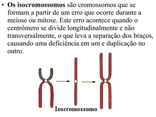 • Os isocromossomos são cromossomos que se
formam a partir de um erro que ocorre durante a
meiose ou mitose. Este erro acontece quando o
centrômero se divide longitudinalmente e não
transversalmente, o que leva a separação dos braços,
causando uma deficiência em um e duplicação no
outro.
 