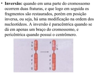 • Inversão: quando em uma parte do cromossomo
ocorrem duas fraturas, e que logo em seguida os
fragmentos são restaurados, porém em posição
inversa, ou seja, há uma modificação na ordem dos
nucleotídeos. A inversão é paracêntrica quando se
dá em apenas um braço do cromossomo, e
pericêntrica quando possui o centrômero.
 