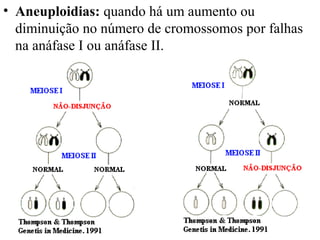 • Aneuploidias: quando há um aumento ou
diminuição no número de cromossomos por falhas
na anáfase I ou anáfase II.
 