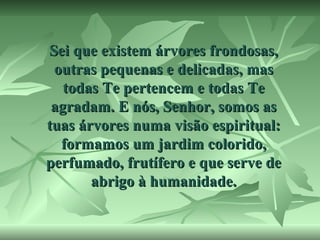 Sei que existem árvores frondosas,
outras pequenas e delicadas, mas
todas Te pertencem e todas Te
agradam. E nós, Senhor, somos as
tuas árvores numa visão espiritual:
formamos um jardim colorido,
perfumado, frutífero e que serve de
abrigo à humanidade.

 