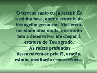 O terreno santo eu já recebi: És
a minha base, onde a semente do
Evangelho gerou-me. Mas creiome ainda uma muda, que muito
tem a desenvolver até chegar à
estatura do Teu agrado.
As raízes profundas
desenvolvem-se pela fé, oração,
estudo, meditação e convivência.

 