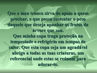 Que o meu tronco sirva de apoio a quem
precisar, e que possa sustentar o peso
daquele que deseja apanhar os frutos da
árvore que sou.
Que minha copa traga proteção na
tempestade e refrigério em tempos de
calor. Que esta copa seja um agradável
abrigo a todas as tuas criaturas, um
referencial onde estas se reúnem para
adorar-te.

 